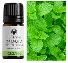 Šaltmėčių eterinis aliejus, ekologiškas, Odylique, 5ml