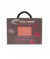 Ekologiški Couleur Caramel švelniai blizgūs šešėliai akims N135