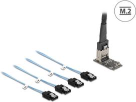 Delock M.2 2242 Key B+M Kontroller zu 4 x SATA mit 1m Kabel - Serial ATA (64260)