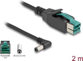 Delock PoweredUSB Kabel Stecker 12 V zu DC 5,5 x 2,1 mm Stecker gewinkelt 2 m (80012)