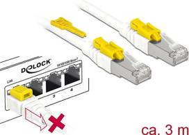 DeLOCK Secure - Patch-Kabel - RJ-45 (M) bis RJ-45 (M) - 3,0m - STP - CAT 6a - halogenfrei - weiß (85333)