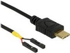 Delock - USB-Kabel - USB-C (M) zu 2-poliger USB-Header (W) getrennt - 50cm - Schwarz (85473)