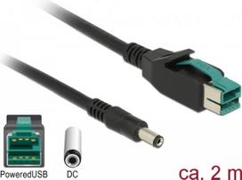 DeLOCK - Powered USB-Kabel - USB PlusPower (12 V) (M) bis GS Antriebshebezug 2,1/5,5 mm (M) 2,0m - Schwarz (85498)