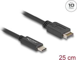 Delock 85528 - USB 3.1 E Key A 20 Pin Stecker zu C Stecker 25 cm - Digital/Daten - 0,25 m (85528)