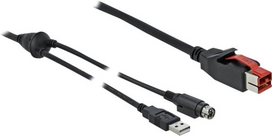 DeLOCK - Powered USB-Kabel - USB PlusPower (24 V) (M) bis USB, Strom mini-DIN (M) 2,0m - Schwarz (85941)