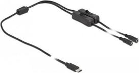 Delock - Netz-Splitter - USB-C (M) bis Gleichstromstecker 5,5 x 2,1 mm (W) - 1,0m - Schwarz (86800)