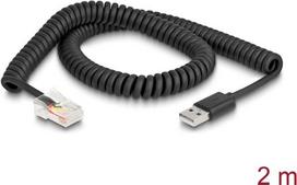 DeLOCK 90602 Videokabel-Adapter 2 m RJ-45 USB Typ-A Schwarz (90602)