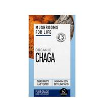 Maisto papildas „Organic Chaga” LT-EKO-001