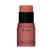 Diego Dalla Palma, All In One, Blush Stick, 42, Salmon, 4 g