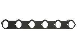 Įsiurbimo kolektoriaus tarpinė 71-33164-00