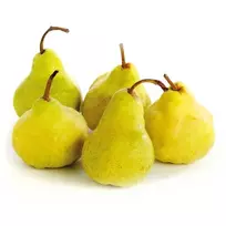 Kriaušės PACKHAM