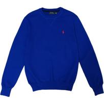Polo Ralph Lauren logotipo siuvinėtas megztinis medvilninis ilgomis rankovėmis megztinis Vyriškas megztinis MNPOSWE16820076-400 XS