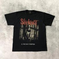 Slipknot Gray Chapter Skull Official Tee T-Shirt Mens Unisex T-Shirt L