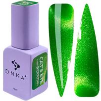DNKA' Gel Polish Color #0007 80's Cat Eye 12ml