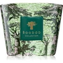 Baobab Collection Sacred Trees Touba kvapioji žvakė 500 g