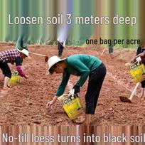 Universal No-Till Soil Loosening Essence for Greenhouses Trial for 1 acre (1 bag)