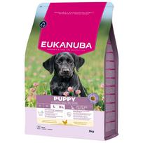 Eukanuba Dog Puppy Large Breed Chicken 3 kg | 113337 | 8710255201726