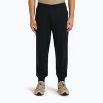 Vyriškos žygio kelnės Icebreaker Merino 200 Shifter black