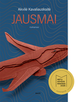 JAUSMAI. Nostalgiškas romanas skraidina į 2009-uosius - Akvilė Kavaliauskaitė