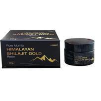 Herbin Himalajų Mumijo (Shilajit) derva - pasta, 30 g