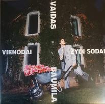 Vinyl (LP) Vaidas Baumila – Vienodai Žydi Sodai
