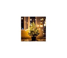 Brilagi - LED lauko girlianda 10xLED/3xAA 3,2 m IP44 šiltai balta