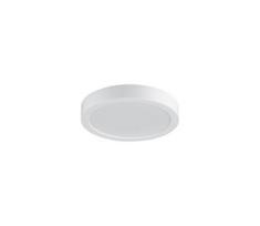 Rabalux 75072 - LED vonios kambario lubinis šviestuvas SHAUN PLUS 24W/230V skersmuo 22 cm IP44 baltas