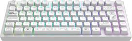 Dark Project - Nova White 81 RGB Wireless