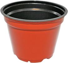Vazonai Daiginimo Komplektas 10 Vnt. Rudi 13 cm