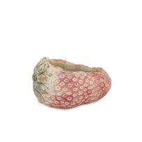 Betoninis vazonas BRAŠKĖ 12,5x21x15,5 cm