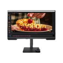 BENQ Monitor PV3200U (9H Y01LA TBE) Y01LA Y01LA