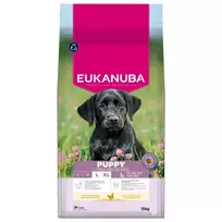Eukanuba Puppy Large Breed Chicken Food, 15 kg