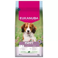 Eukanuba Puppy food - Puppy  AND  Junior Small  AND  Medium Lamb  AND  Rice 12 kg