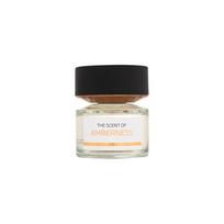 BMW Fragrances The Scent of Amberness EDP 100ml