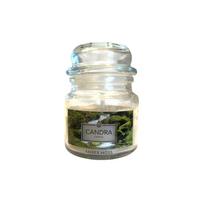 CANDRA kvapni žvakė ''Amber Moss''