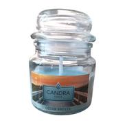 CANDRA kvapni žvakė ''Cedar Breeze''