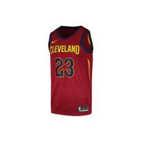 Nike LeBron James Cleveland Cavaliers Rankovių krepšinio marškinėliai Vyriški Viršutiniai drabužiai Bordo 903978-677 L brown