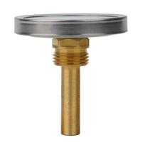 Analog Thermometer Water Temperature Meter 8*50mm Thermometer Rod Thermometer For Central Heating System Control China Mainland