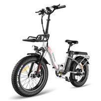 Elektrinis dviratis Fafrees F20 Max 20  padanga 500W variklis Sulankstomas suaugusiųjų E-bike 48V 30AH Dvigubi diskiniai stabdžiai 7 greičiai Maksimali apkrova 150Kg juoda