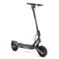 Elektrinis paspirtukas Smartgyro SG27-618 Juoda 500 W