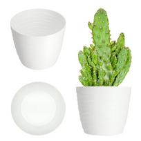 Vazono dėklas 15 cm, plastikinis