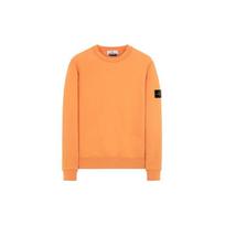 „Stone Island“ šukuotos medvilnės vyriški džemperiai, oranžiniai 731563020-v0032 M
