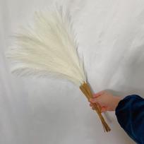 55CM 5/10/20 vnt Pūkuota pampų žolė Boho dekoro gėlė netikrų augalų nendrių imituota vestuvių vakarėlis namų dekoravimas dirbtinės gėlės 5PCS dramblio kaulas