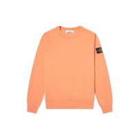 Stone Island FW22 Compass Patch Casual Solid Color Pullover Minimalist Sweatshirt Men sweatshirt Orange 721563051-V0037 M