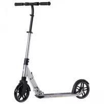 Paspirtukas Rideoo 200 Pro City Silver