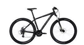 Dviratis 29 Bulls Wildtail 2 Disc vyr. 24g juodas matinis - m