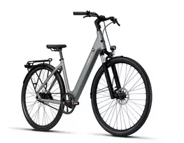 Dviratis 28" elektrinis Tenways CGO800S 374Wh unisex pilkas matinis 48cm one size