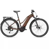 Electric bicycle GIANT Explore E+ 4 STA, Hematite (M)
