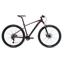 Dviratis GIANT Talon 29 1 GE, Hematitas (L)