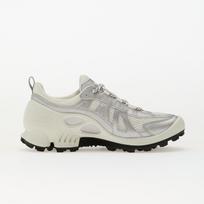 ECCO Biom C-Trail Wmns Silver - Dydis 41 (80322351366 Laisvalaikio batai)